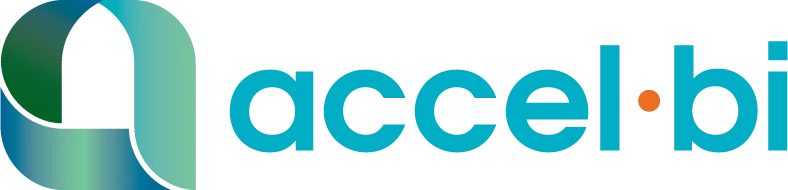 Accel BI